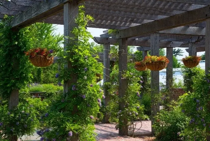 Estetika, Struktur, dan Fungsi Gazebo 2 Ilustrasi pergola foto jenis gazebo