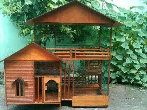 Foto rumah kayu mungil