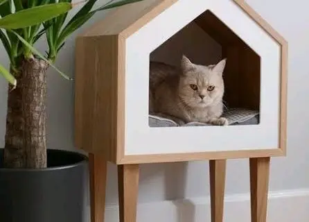 ilustrasi rumah kayu mungil 