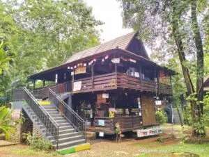 Foto rumah kayu untuk sekolah alam
